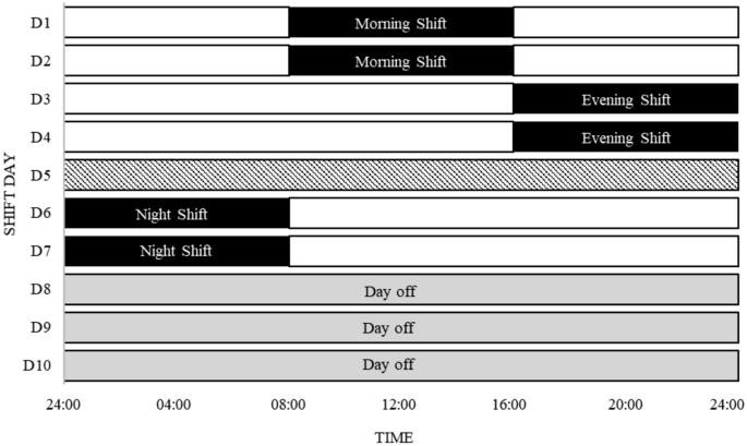 Understanding the Energy Equation: The Power of Nutrient Timing